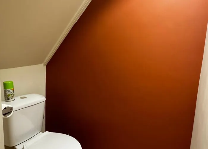 La Casa Cosy Duplex Centre 公寓 里昂
